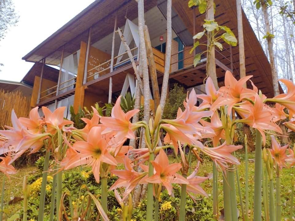 Nan De Panna Resort And Spa エクステリア 写真